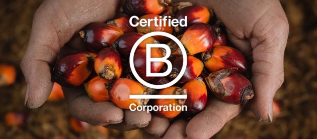 Hands holding grains with B Corp logo