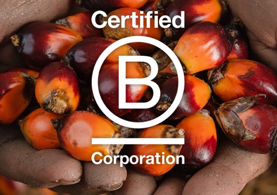 hands holding grains with the B Corp logo